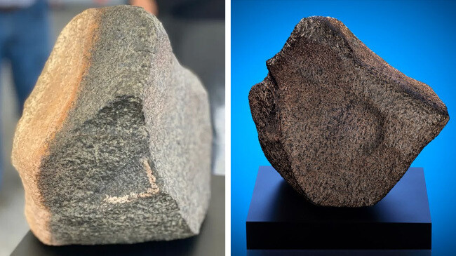 worlds largest martian meteorite goes on display