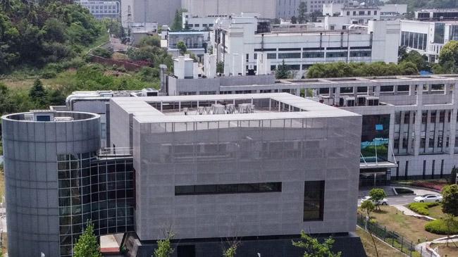 wuhan institute of virology in china