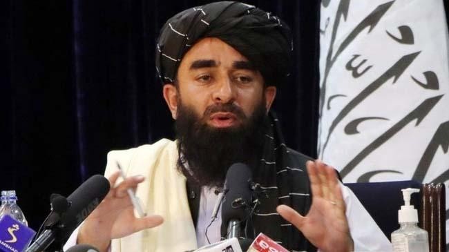 zabiullah mujahid 1