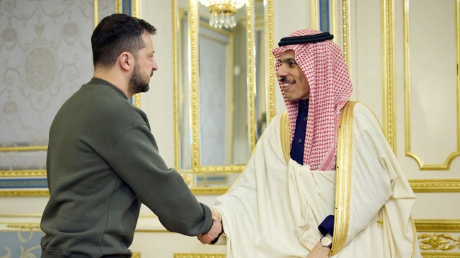 zelenskyy welcome faisal