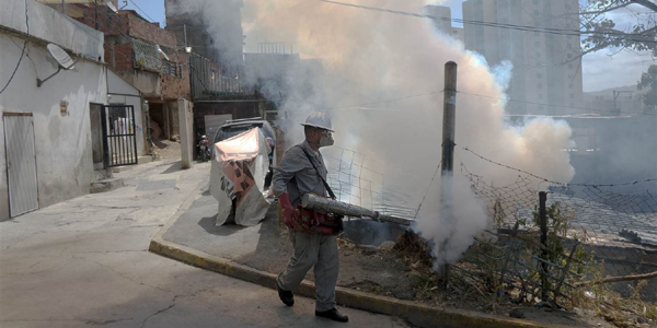 zika en venuzuyela