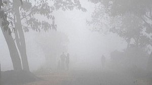 আবহাওয়া অধিদপ্তর: এবার শীতে আসতে পারে ১০টি শৈত্যপ্রবাহ