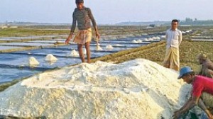 ২৪৭ প্রতিষ্ঠানকে ১ লাখ টন লবণ আমদানির অনুমতি