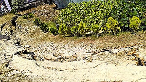 ভূমিকম্পের কেন্দ্রস্থল মাধবদীতে এপাশ-ওপাশ দুলছিল ভবন