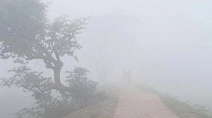 বাড়ছে শীতের তীব্রতা, তাপমাত্রা ১০ ডিগ্রিতে নামার পূর্বাভাস