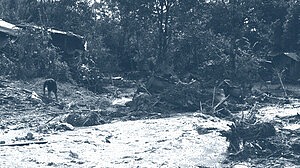 ভিয়েতনাম ও ইন্দোনেশিয়ায় বন্যা: মৃতের সংখ্যা বেড়ে ৫৫