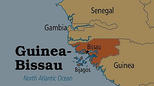 গিনি-বিসাউয়ের জান্তার পরিকল্পনা প্রত্যাখ্যান করল ইকোওয়াস