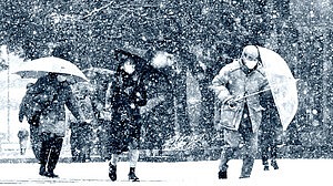 জাপানে ভয়াবহ তুষারপাতে ৪৬ জনের মৃত্যু, আহত পাঁচ শতাধিক