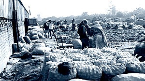 কেজি ২ রুপি: সীমান্তে পচছে পেঁয়াজ, মাথায় হাত ব্যবসায়ীদের