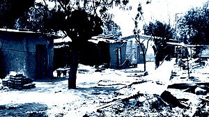 নাইজেরিয়ায় ফের সন্ত্রাসী হামলায় নিহত ১৩