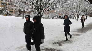 নিউইয়র্ক ও নিউ জার্সিতে জরুরি অবস্থা, দেড় হাজার ফ্লাইট বাতিল